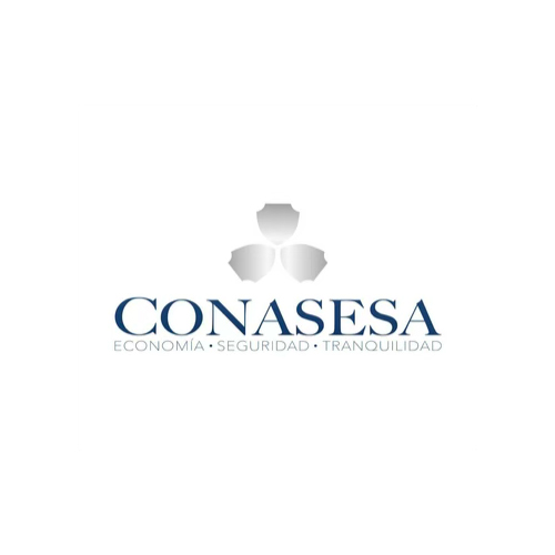Logo de organización cliente