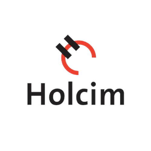 Logo de organización cliente