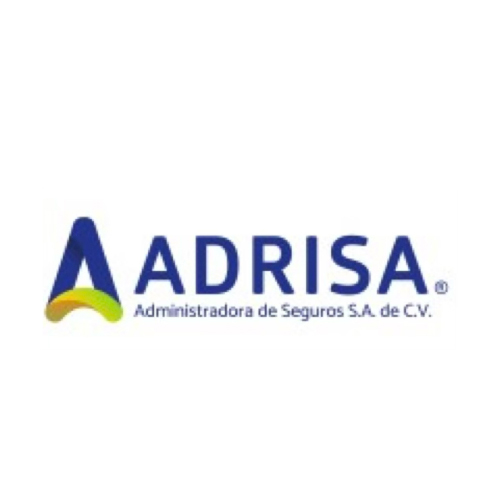 Logo de organización cliente